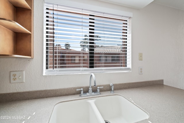 interior details featuring sink