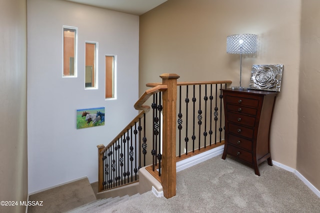 staircase featuring carpet floors