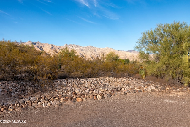 view of mountain feature