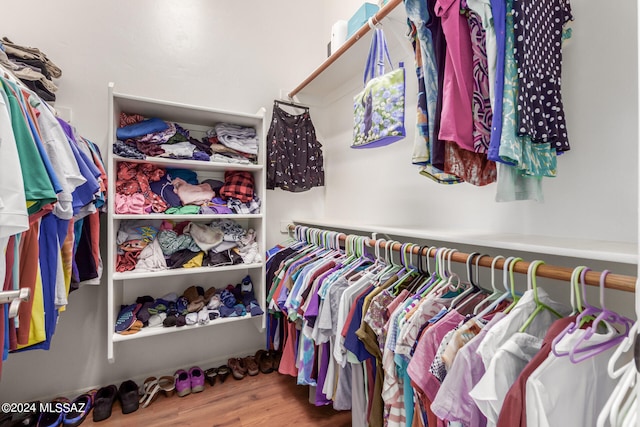 spacious closet with wood-type flooring