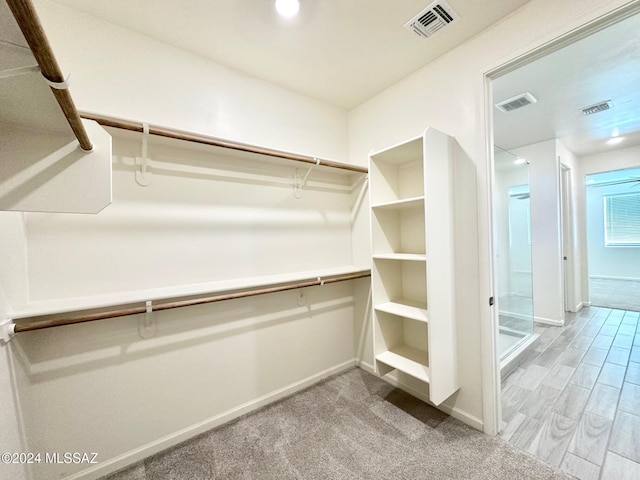 spacious closet with light carpet