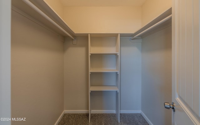 walk in closet with carpet floors