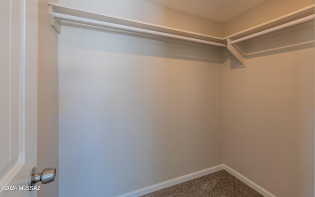 walk in closet with carpet