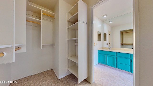 spacious closet featuring light carpet and sink