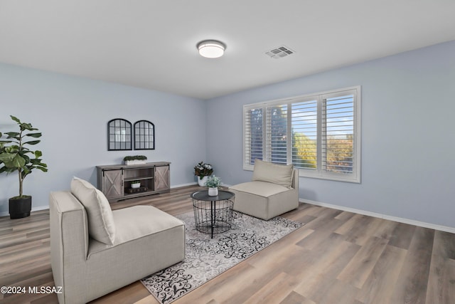 living room featuring wood-type flooring