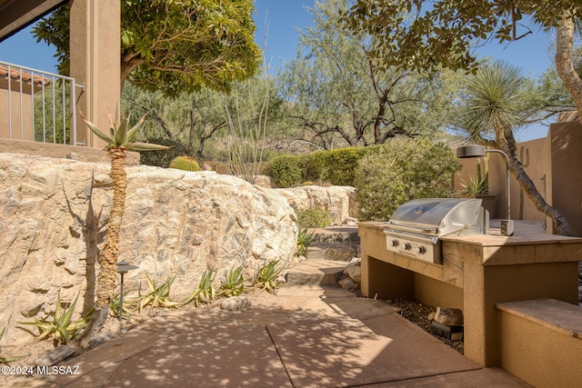 view of patio / terrace featuring grilling area and an outdoor kitchen