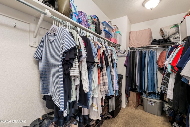 spacious closet with carpet flooring