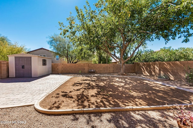 view of yard with a patio area and a shed