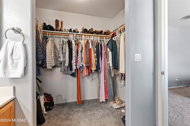 spacious closet with carpet