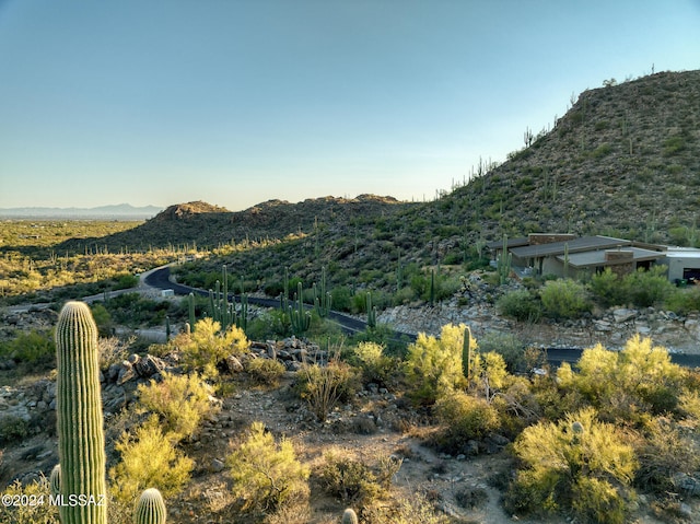 view of mountain feature