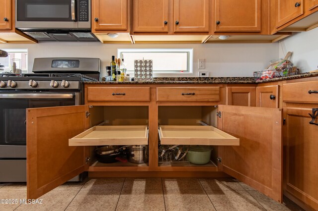 kitchen featuring a healthy amount of sunlight, dark stone countertops, and stainless steel appliances