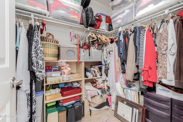 view of spacious closet