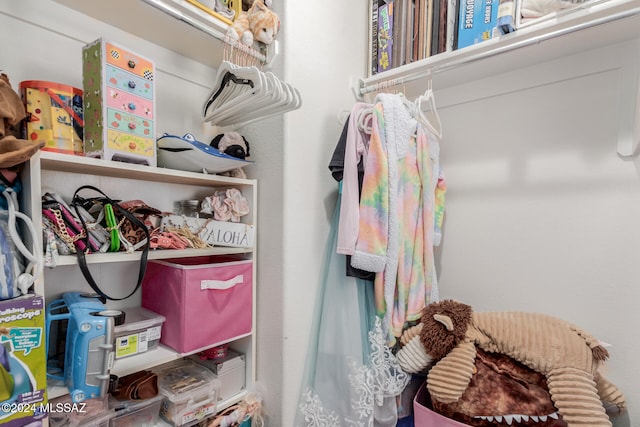 view of walk in closet