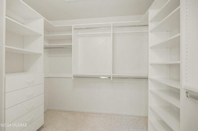 view of walk in closet