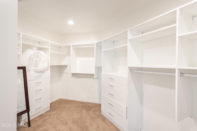 walk in closet featuring light carpet