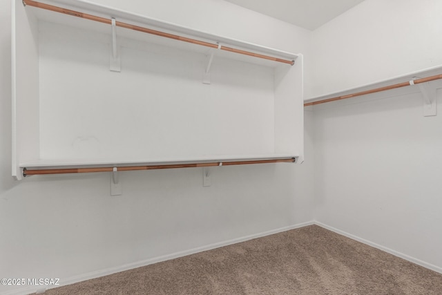 spacious closet with carpet