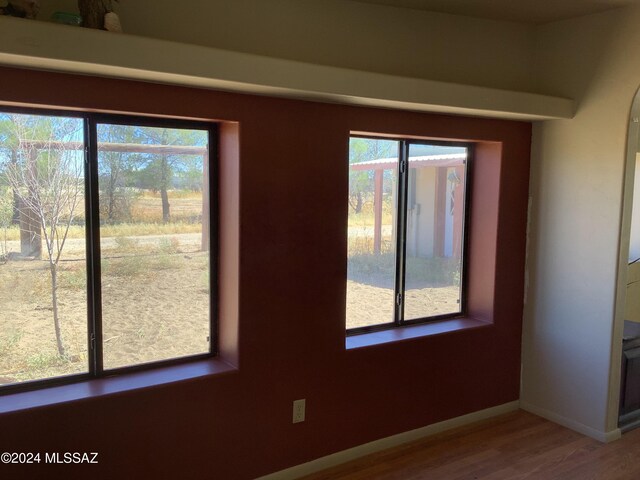 spare room with hardwood / wood-style flooring and plenty of natural light