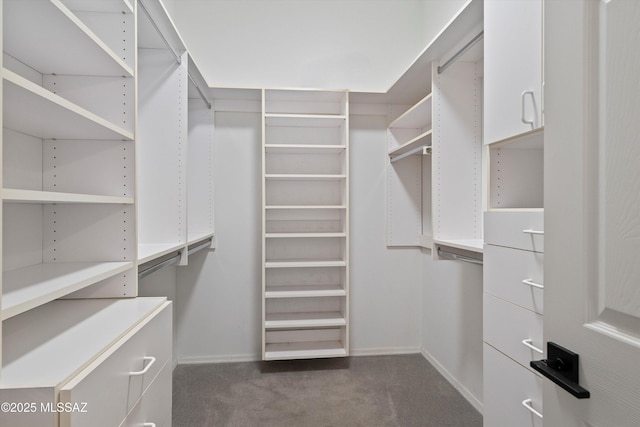 spacious closet with carpet