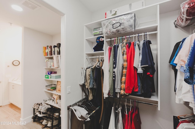 spacious closet with wood-type flooring