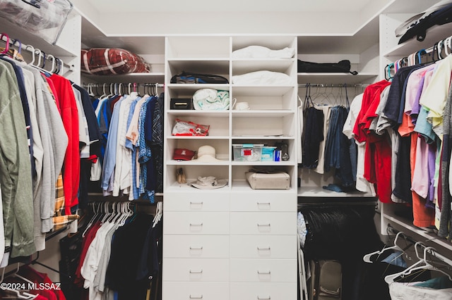 view of spacious closet