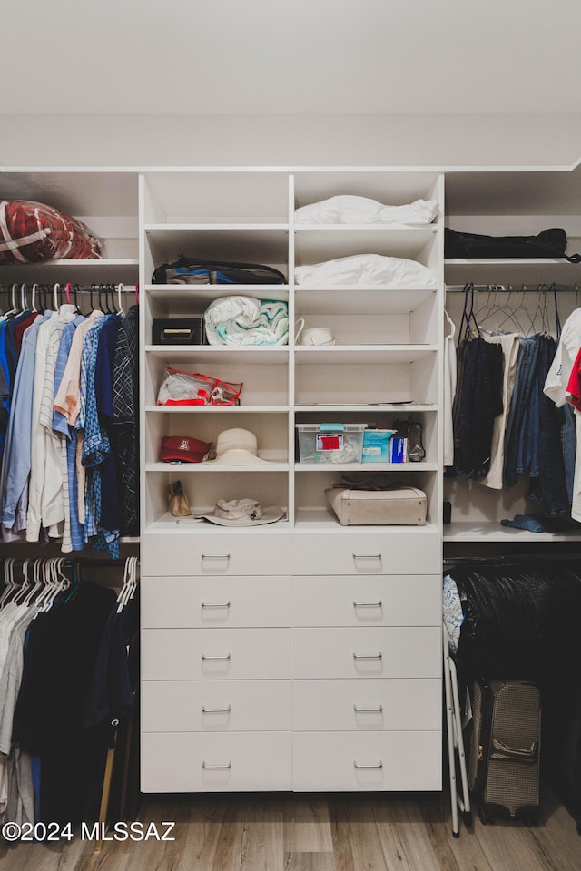 view of closet