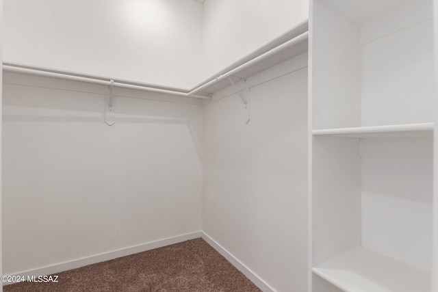 walk in closet with carpet flooring