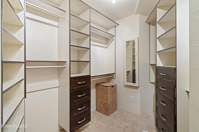 4750 N Calle Desecada, Tucson, AZ 85718 - spacious closet with light colored carpet