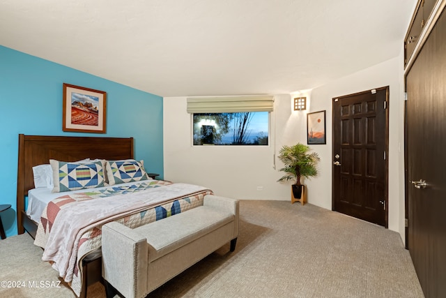 carpeted bedroom featuring a closet