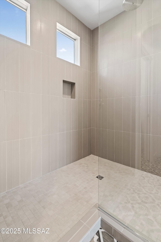 full bathroom with a healthy amount of sunlight and walk in shower