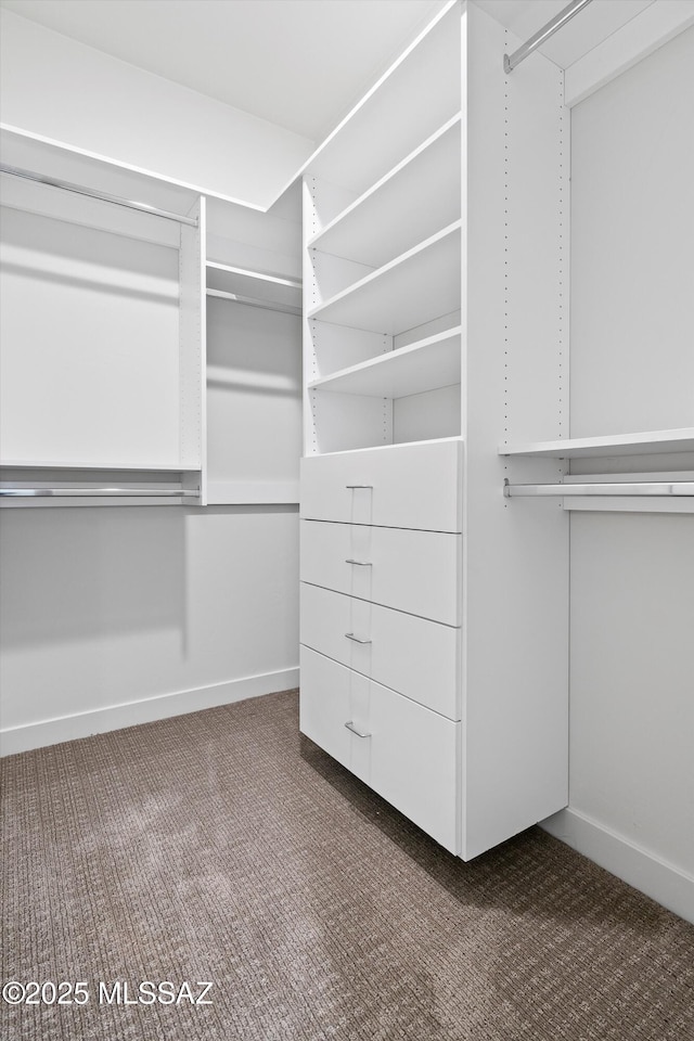 walk in closet featuring carpet flooring