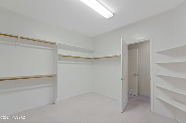 spacious closet with light carpet