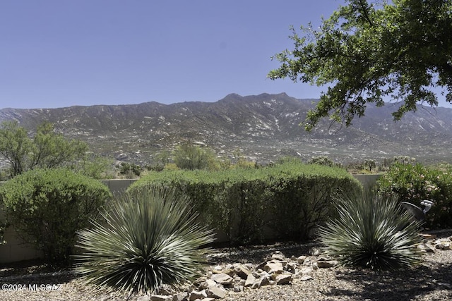 view of mountain feature