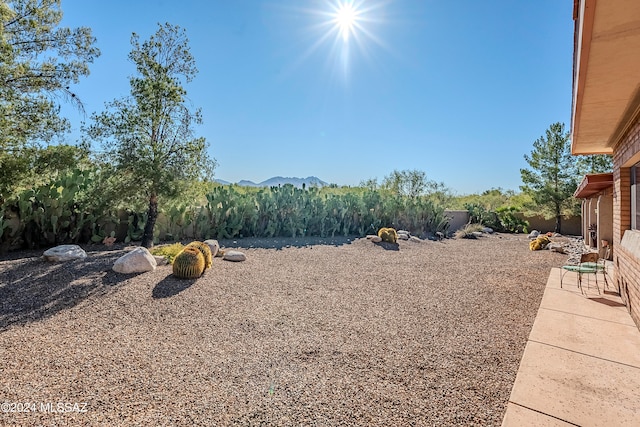 view of yard featuring a mountain view