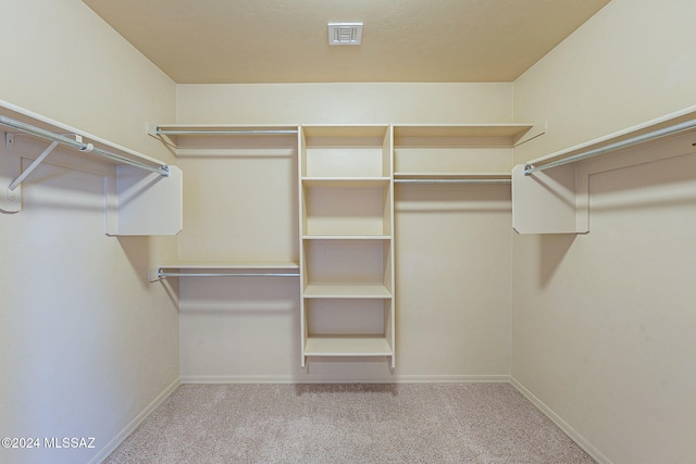 spacious closet with light carpet