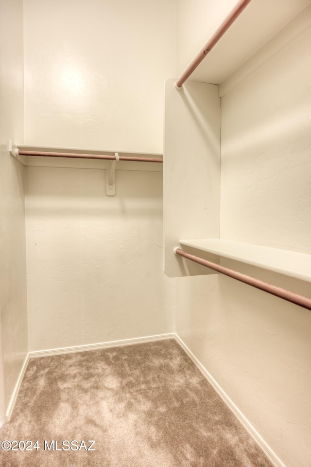 spacious closet featuring carpet floors