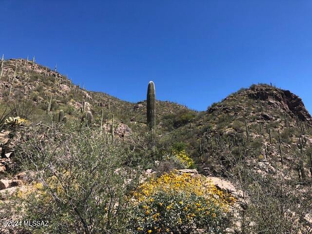 Listing photo 3 for 7296 E Stone Canyon Dr, Tucson AZ 85750