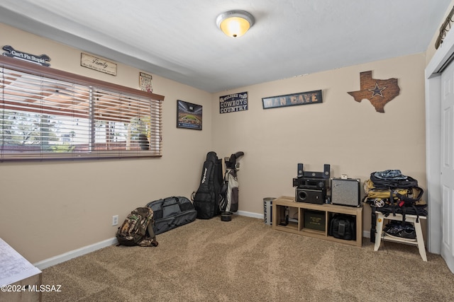 miscellaneous room with carpet floors