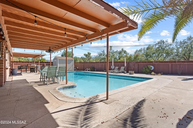 view of swimming pool with a patio and a shed