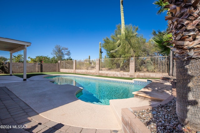 view of pool with a patio