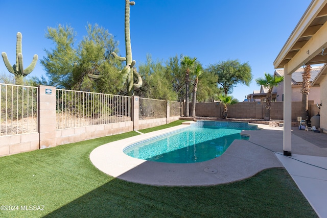 view of swimming pool with a patio area and a lawn