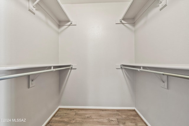 spacious closet featuring wood-type flooring