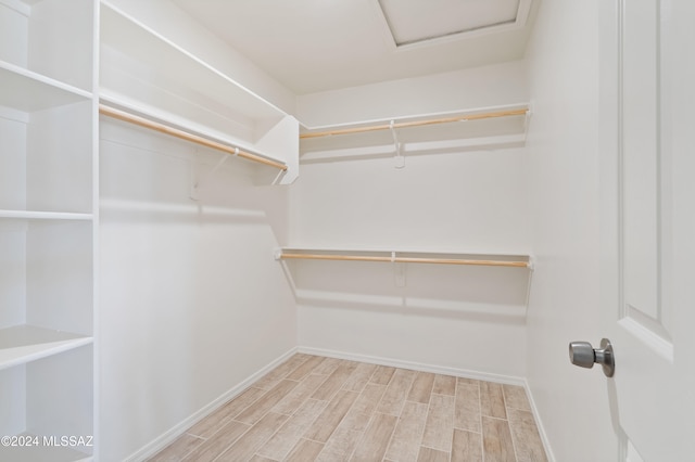 spacious closet featuring light wood-type flooring