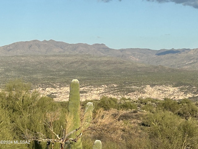 19931 S Sterling Ave, Mammoth, AZ 85618 - mountain view