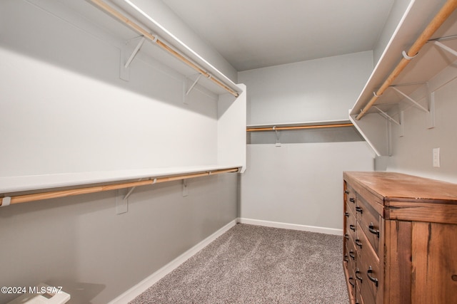 spacious closet featuring carpet