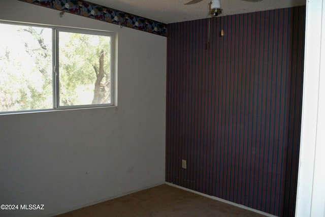 empty room with ceiling fan and a wealth of natural light