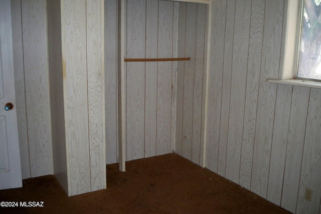 basement featuring wooden walls