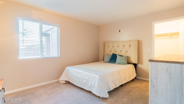 carpeted bedroom featuring a spacious closet and a closet