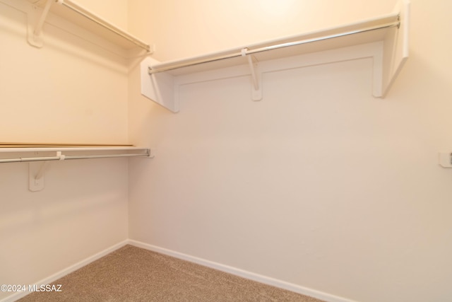 spacious closet with carpet flooring