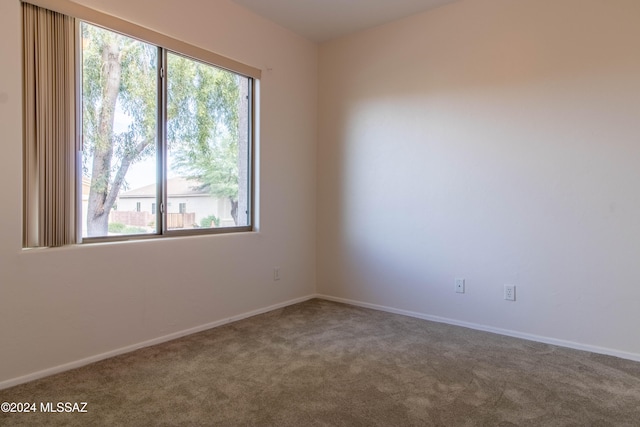 carpeted spare room featuring a wealth of natural light