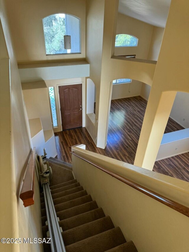 entrance foyer with a healthy amount of sunlight, a towering ceiling, and dark wood-type flooring